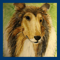 collie affischer