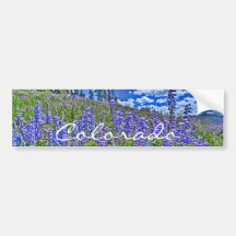 Colorado vildblommabildekal