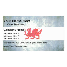 Colorful Contrast PatagonianFlag Business Card Templates