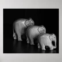 Colorless elefanter print