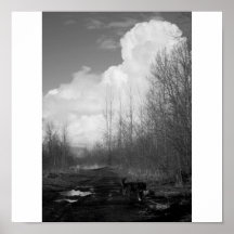 Columbia Cloudscapes 4 Print