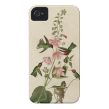 Columbian Hummingbird iPhone 4 Case-Mate Case