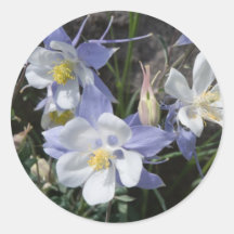 Columbine Colorado Rund Klistermärke
