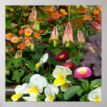 Columbines trädgård affisch