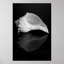 Conch på granit print