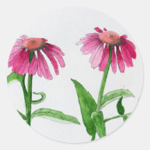 Coneflower klistermärkear