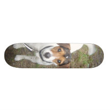 Cooperen stiger ombord skate board