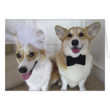 corgisuppklädd som brud och brudgum hälsningskort