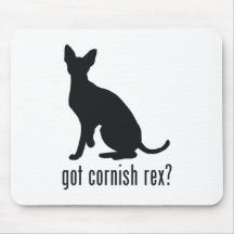 Cornish Rex katt Musmattor