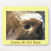 Cosmo M-Katt bas Mus Matta