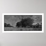 Cottonfield & ladugårdaffischtryck