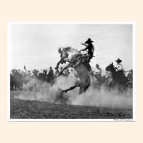 Cowboy på en sparka bakut bronco affischer