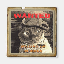 Cowcat/önskat Magneter För Kylskåp