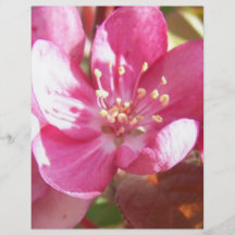 Crabapple blommar custom flyer