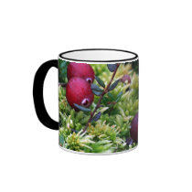 Cranberries Muggar