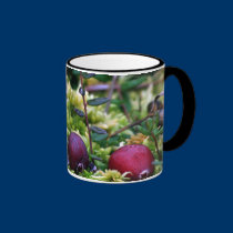 Cranberries muggar