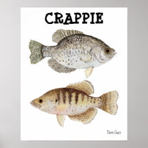 Crappie Affisch