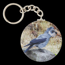 Crowschnauzer nyckelringar