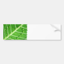Customize Product Bumper Sticker