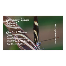 Customize Product Business Card