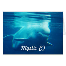 Customize Product Cards