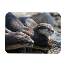 Customize Product Magnet
