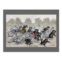 Cykelridningkatter Vykort