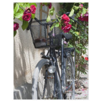 Cyklar och ro i Sverige