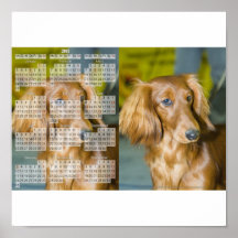 Dackel Kalender 2011 Plakate