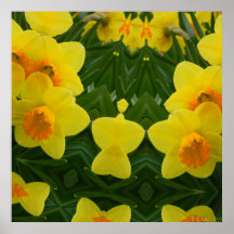 Daffodil Symmetry May 2013 Poster