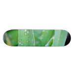 Dagg efter en regniga Moning i gammal Town Skate Board Decks