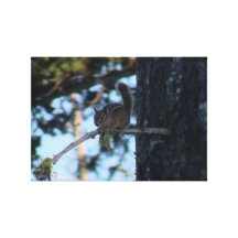 Däggdjur för helvetekanjonIdaho Fauna Kanvasdukar Med Gallerikvalitet