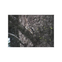 Däggdjur för helvetekanjonIdaho Fauna Canvastryck