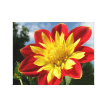 Dahlia Sträckt Kanvastryck
