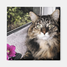Daisy 1 magneter för kylskåp