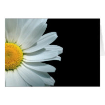Daisy Hälsnings Kort