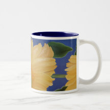 Daisy Kaffe Kopp