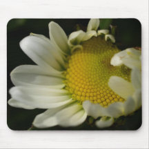 Daisy Mus Mattor