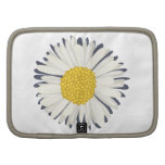 Daisy rickshaw folios