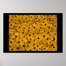 Daisy Print