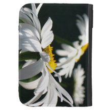 Daisydrömmen tänder casen