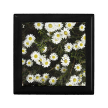 Daisygiftbox Presentförpackningar