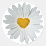 Daisyhjärta Klistermärken