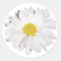 Daisyklistermärke