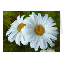 Daisykortvilden blommar beställnings- hälsningkort