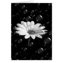 DAISYN BUBBLAR IN HÄLSNINGKORTET