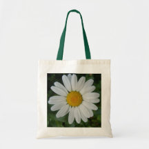 Daisytoto Kasse