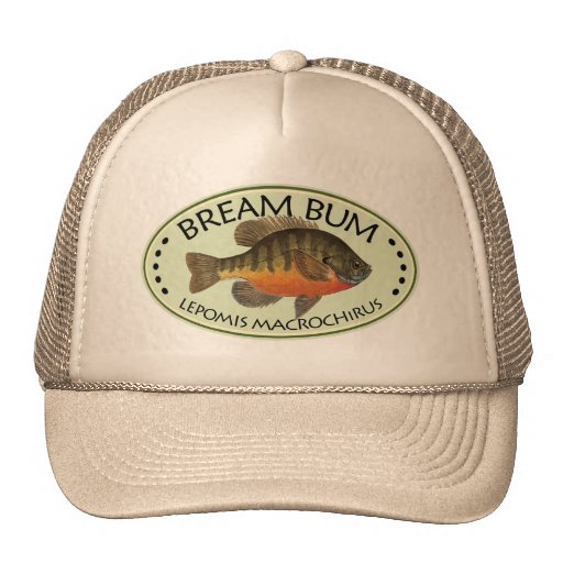 Dåligt fiske för Bream Trucker Keps