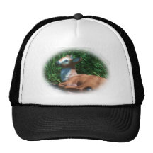dallane 10_Grainy Callig Trucker Kepsar