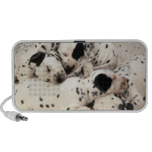 Dalmatian valpar som sovar klotter rese högtalare